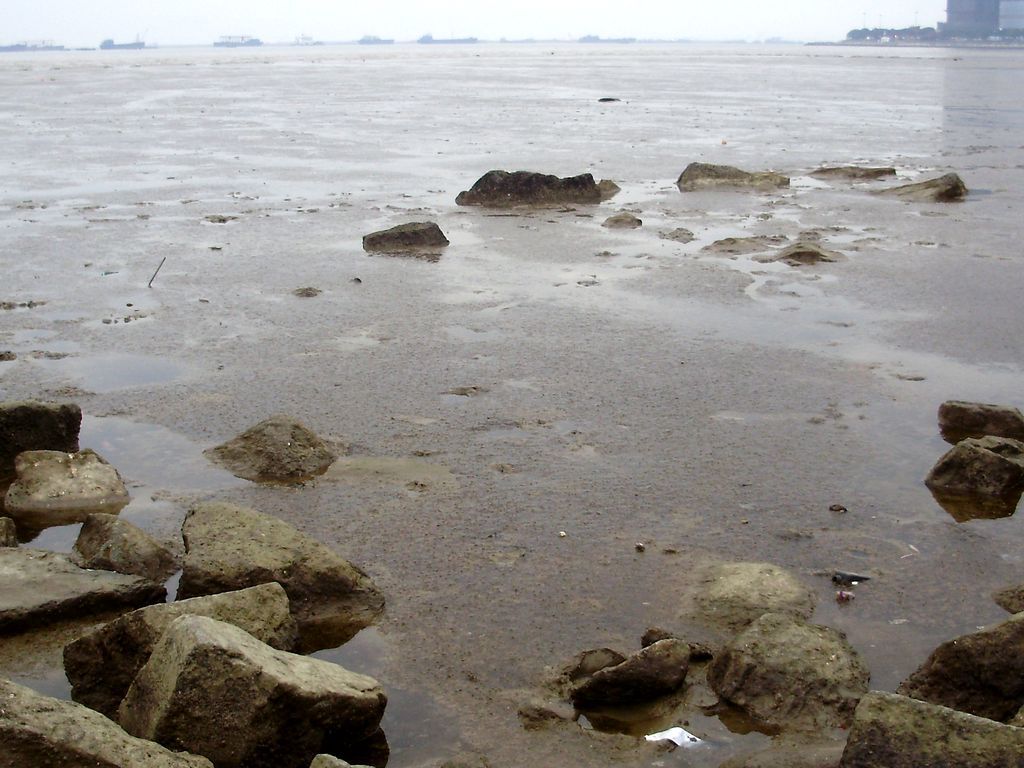 Море