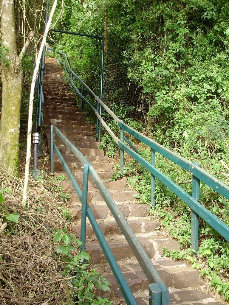 Лестница