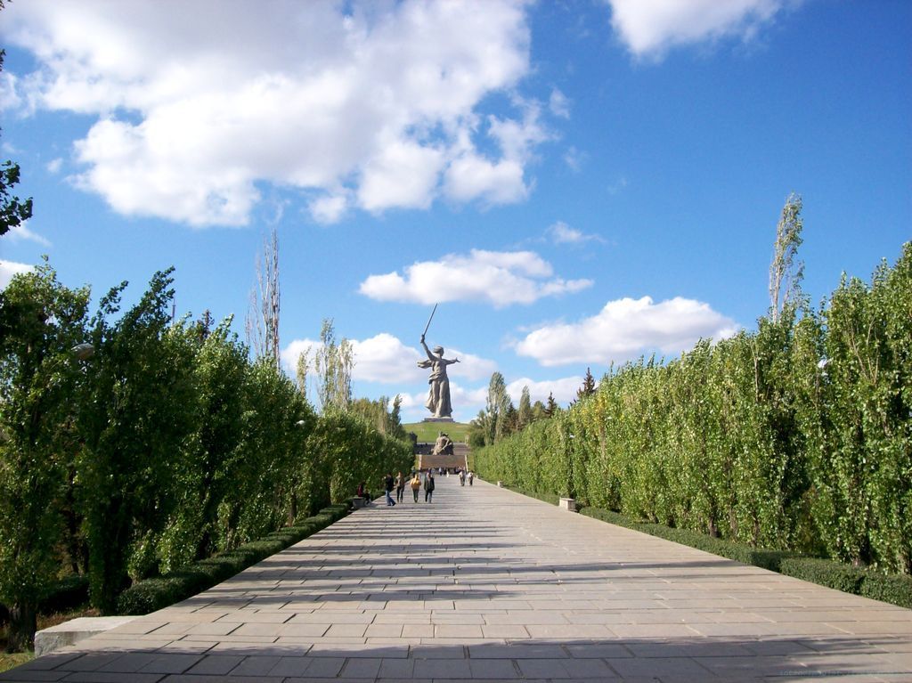 Аллея тополей