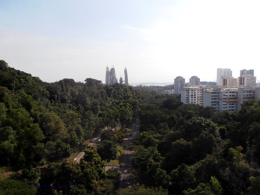 Вид с мостика на юг