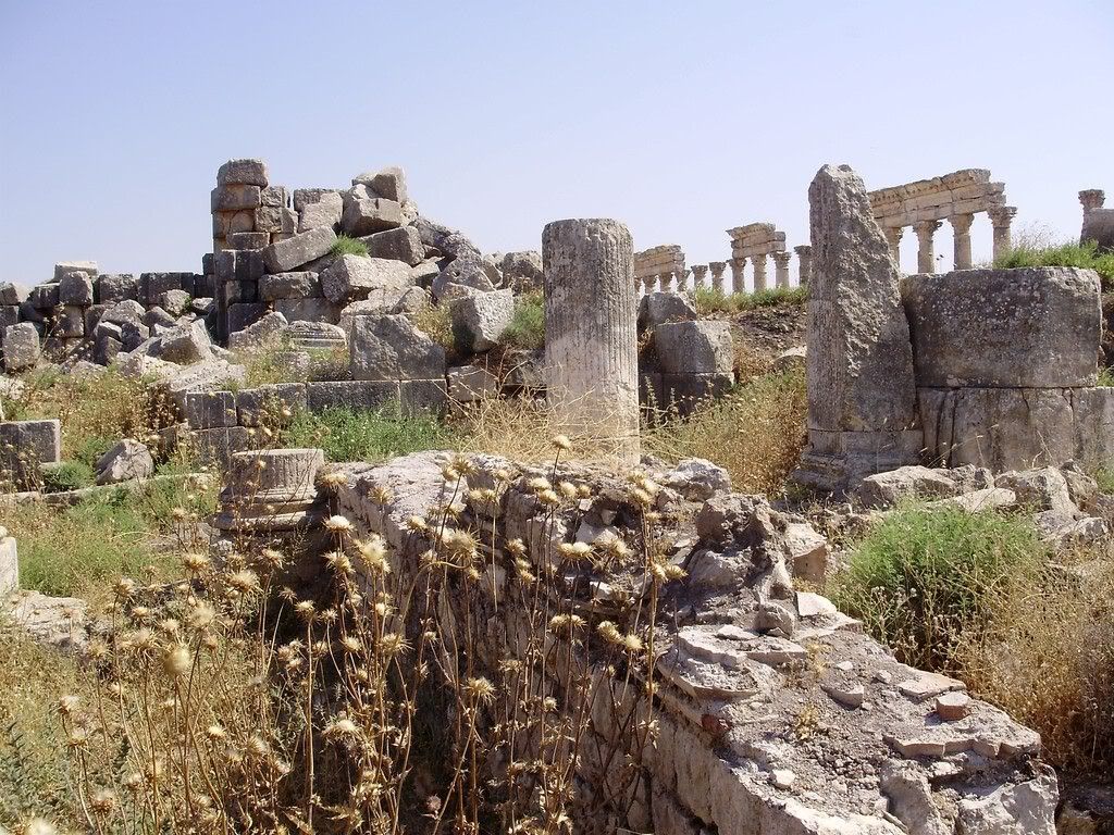 Агора