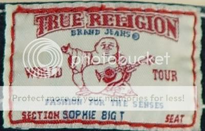 240 NEW TRUE RELIGION JEANS SHORTS SOPHIE BIG T SIZE 23  