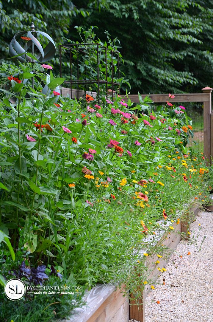 Backyard Cutting Flower Garden #michaelsmakers 