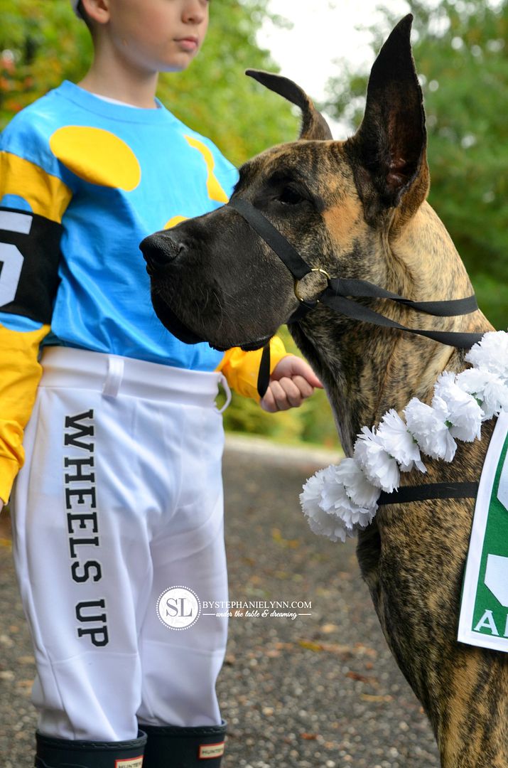 DIY American Pharoah Costume Race Horse Dog Jockey #michaelsmakers 