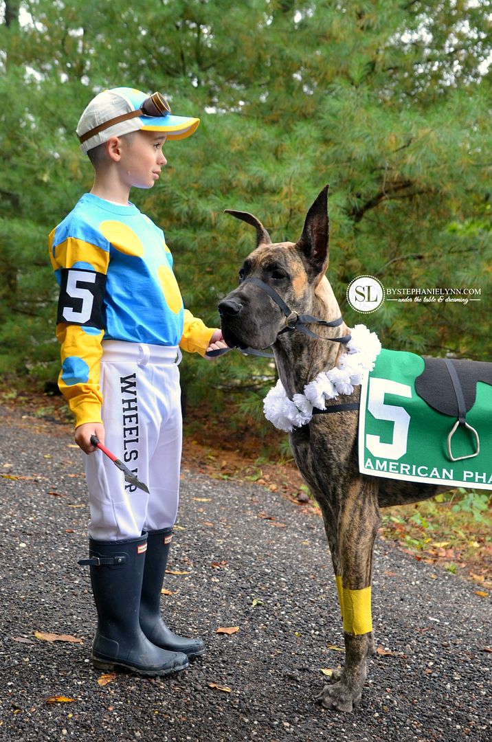 DIY Race Horse and Jockey Costume Michaels Makers #michaelsmakers 
