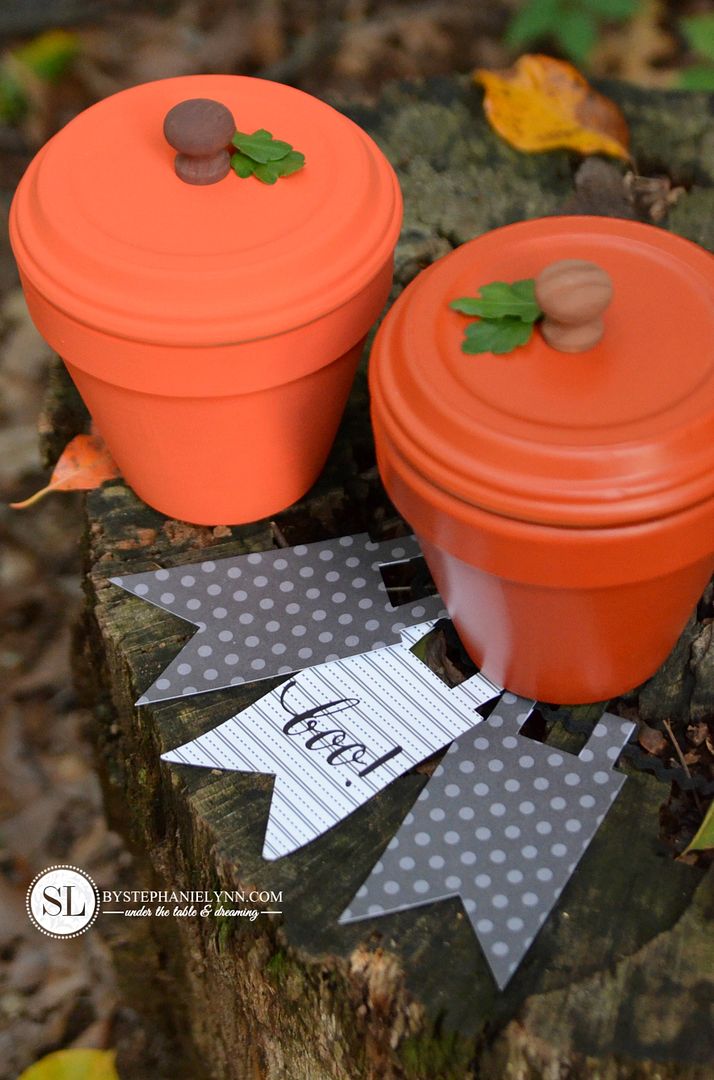 DIY Terra Cotta Pumpkin candy Jars #booitforward 