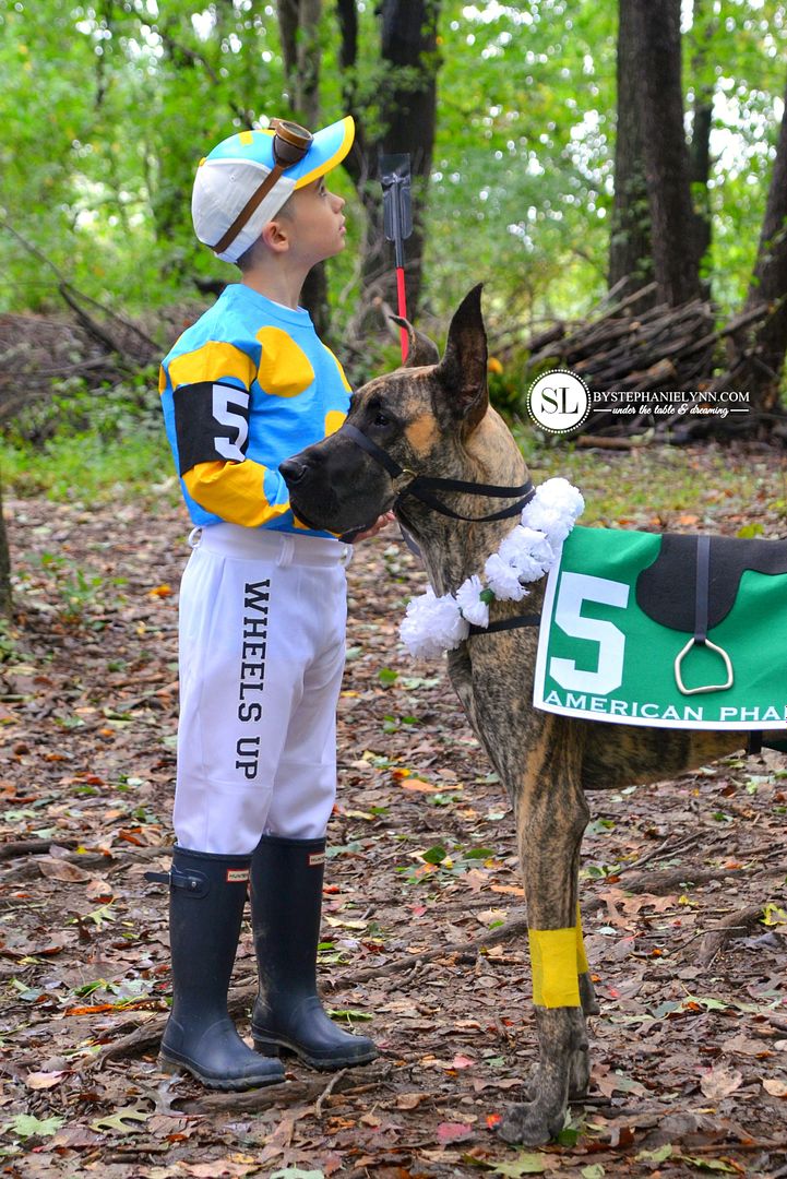 Homemade Jockey Race Horse Kid and Dog Costume #michaelsmakers 