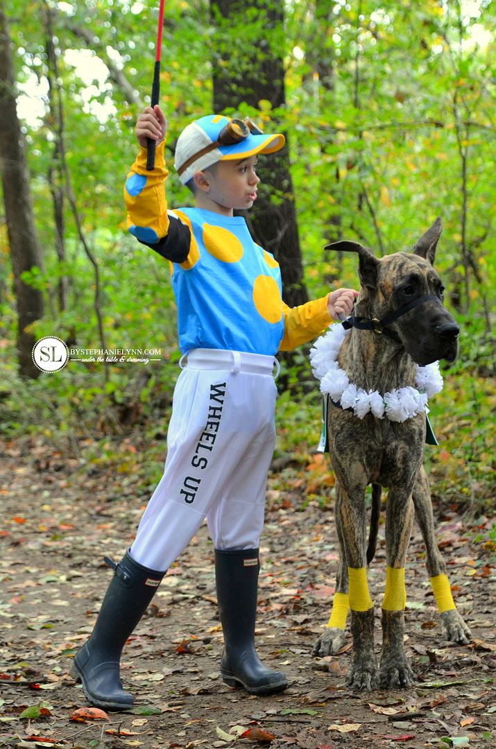Homemade Race Horse Dog Costume and Jockey Costume #michaelsmakers 