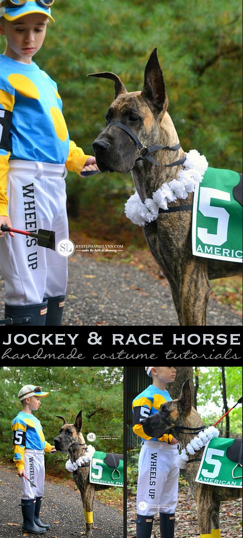 Jockey and Race Horse Costume - Homemade Coordinating Kids & Pet Costume #michaelsmakers 