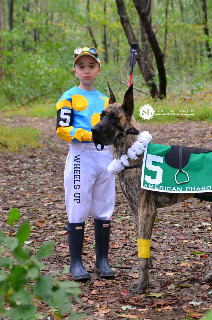 Kid and Pet Costumes Jockey and Race Horse #michaelsmakers 