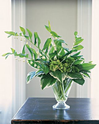10 Things You can do With Hosta Plant Leaves {Saturday Inspiration