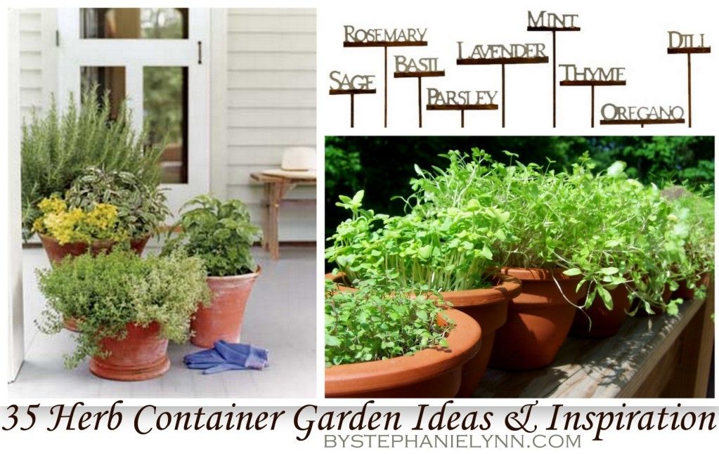35 Herb Container Gardens ~ Pots & Planters {Saturday Inspiration & Ideas}