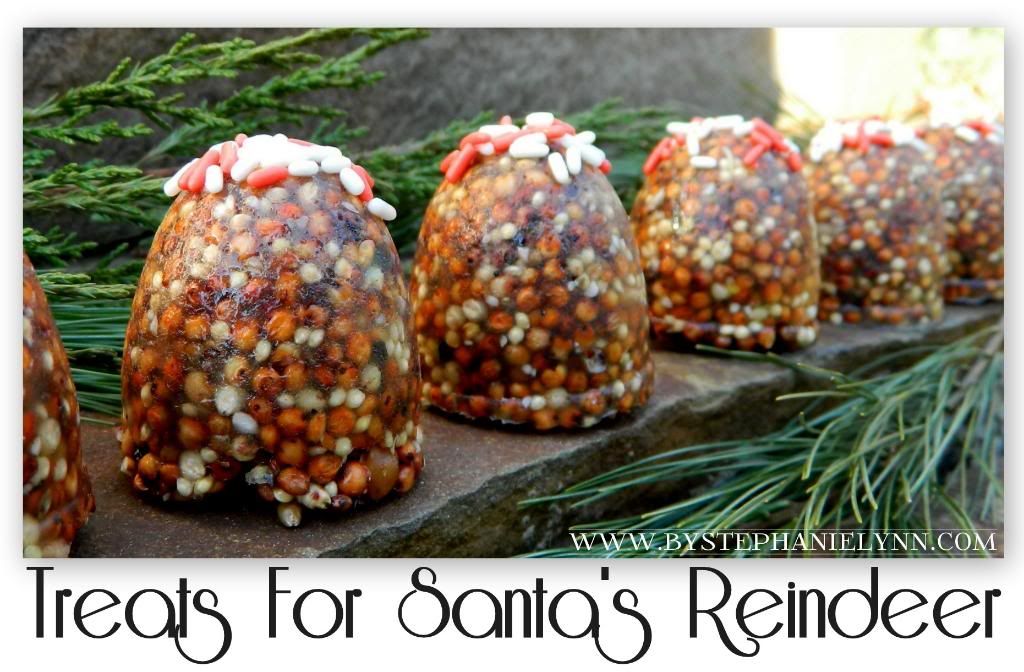 Make Treats for Santa’s Reindeer – Birdseed Cakes {Reindeer Food Christmas Tradition}