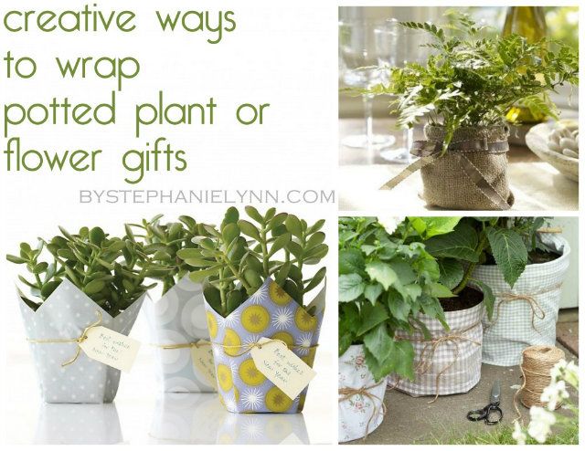 Ten Creative Ways to Wrap Potted Plants and Flowers – Quick and Easy Gift Ideas
