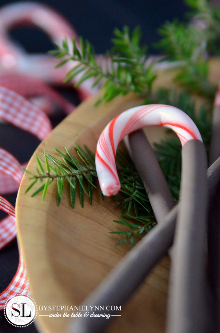 Chocolate Covered Candy Canes | last minute holiday ideas #