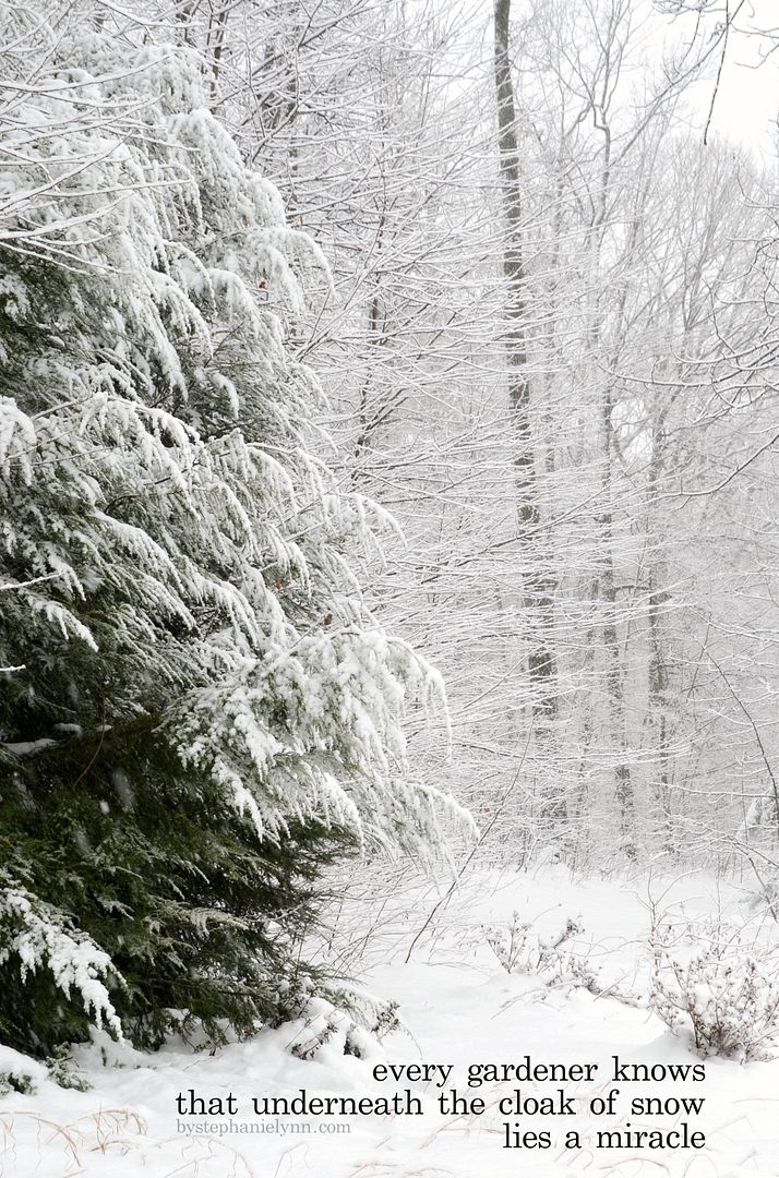 Every Gardener Knows That Underneath The Cloak of Snow Lies a Miracle - bystephanielynn.com