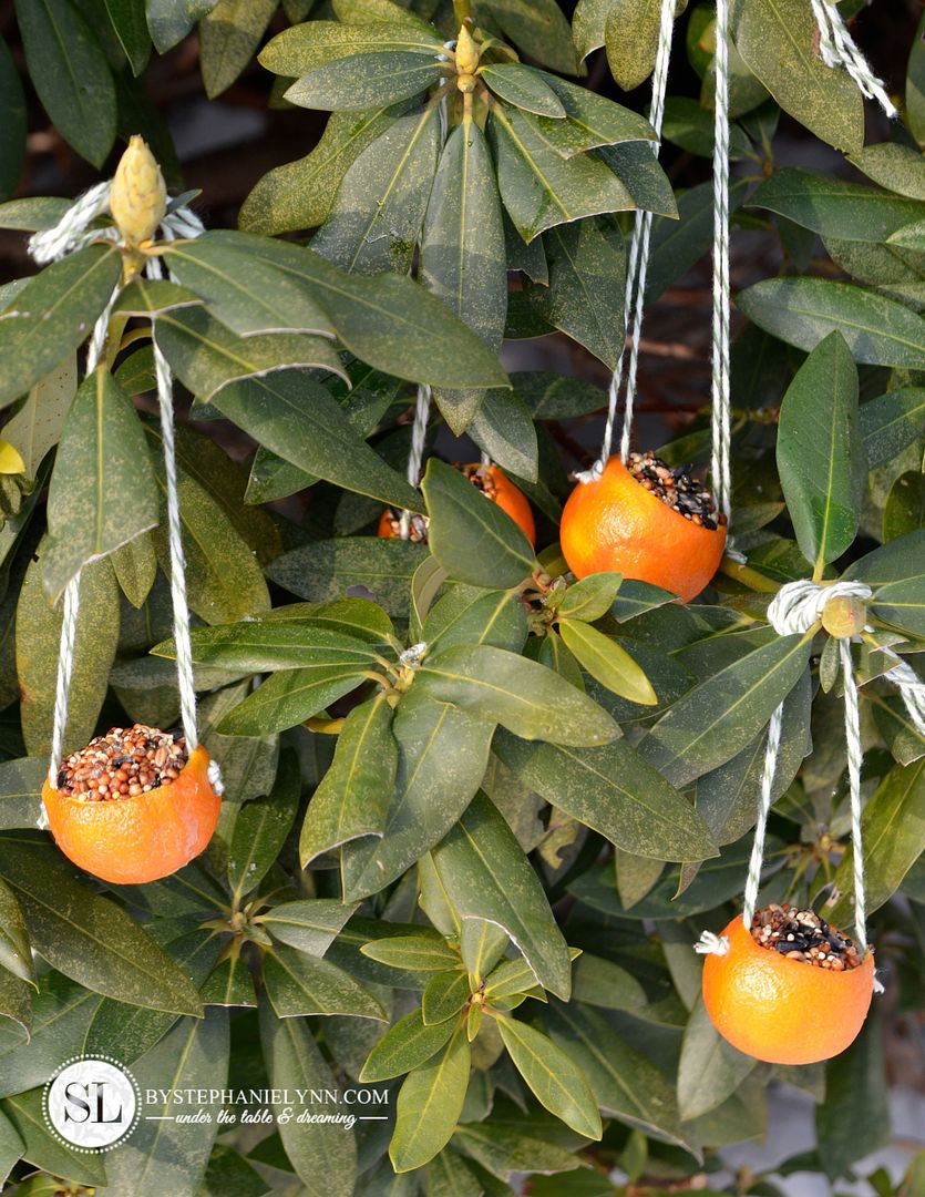 Homemade Birdseed Ornaments