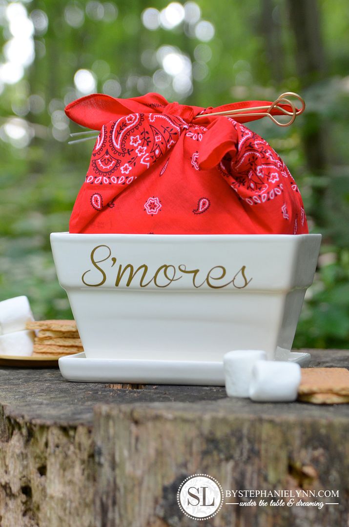 Tabletop S'mores Kit