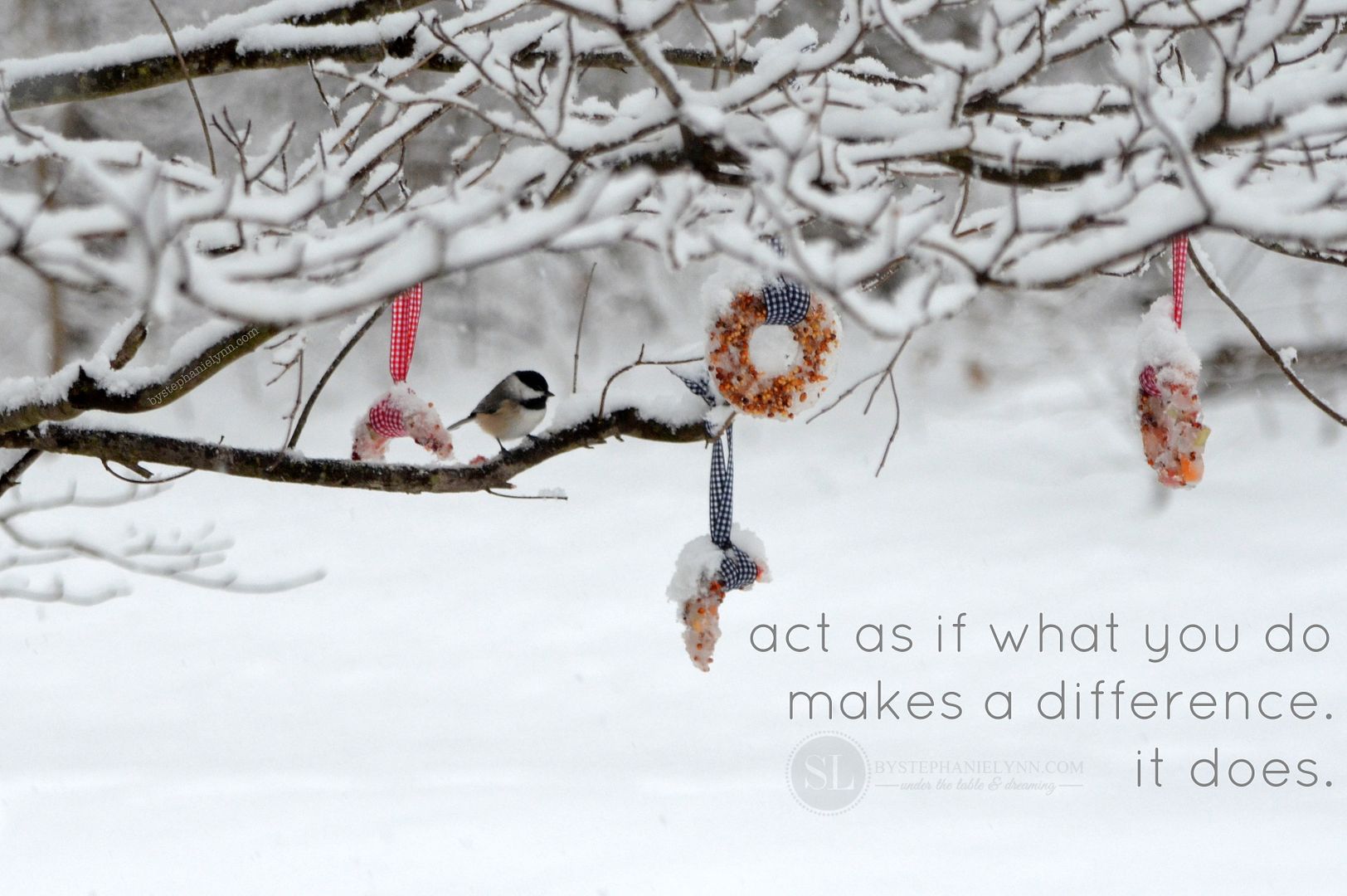 act as if what you do makes a difference it does - www.bystephanielynn.com